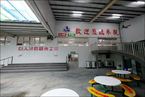 特立独行的工业旅游体验 探访台湾白人牙膏观光工厂